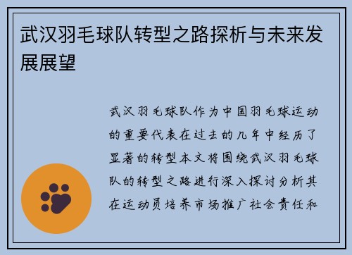 武汉羽毛球队转型之路探析与未来发展展望